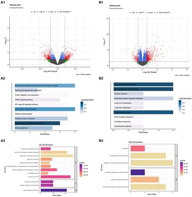 The shared molecular mechanism of spinal cord injury and sarcopenia: a comprehensive genomics analysis
